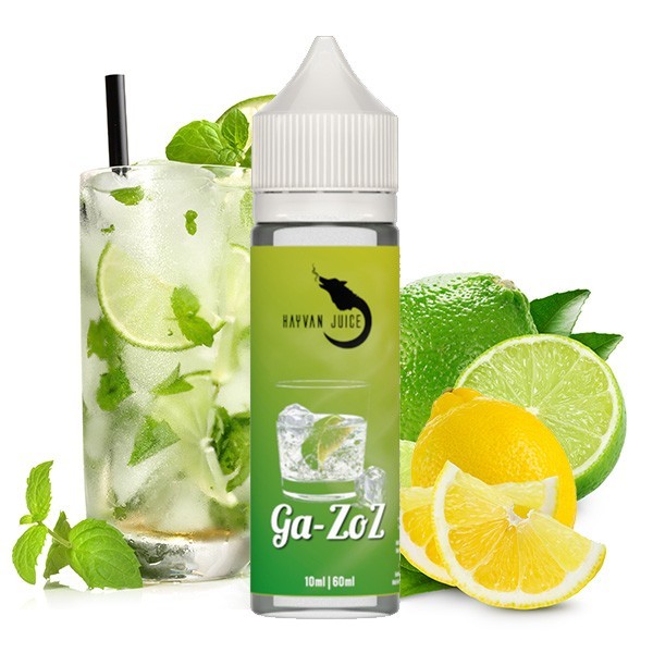 Hayvan Juice Ga-zoz Limette